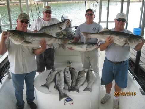 Nice Striped Bass